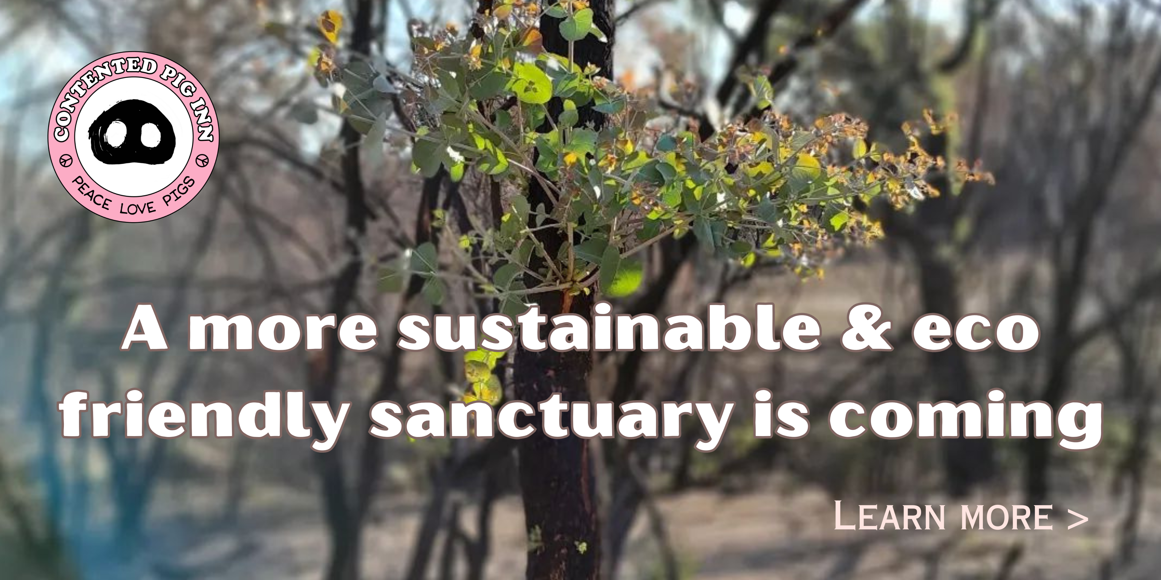 Saving lives through an eco-friendly sustainable rescue sanctuary!
