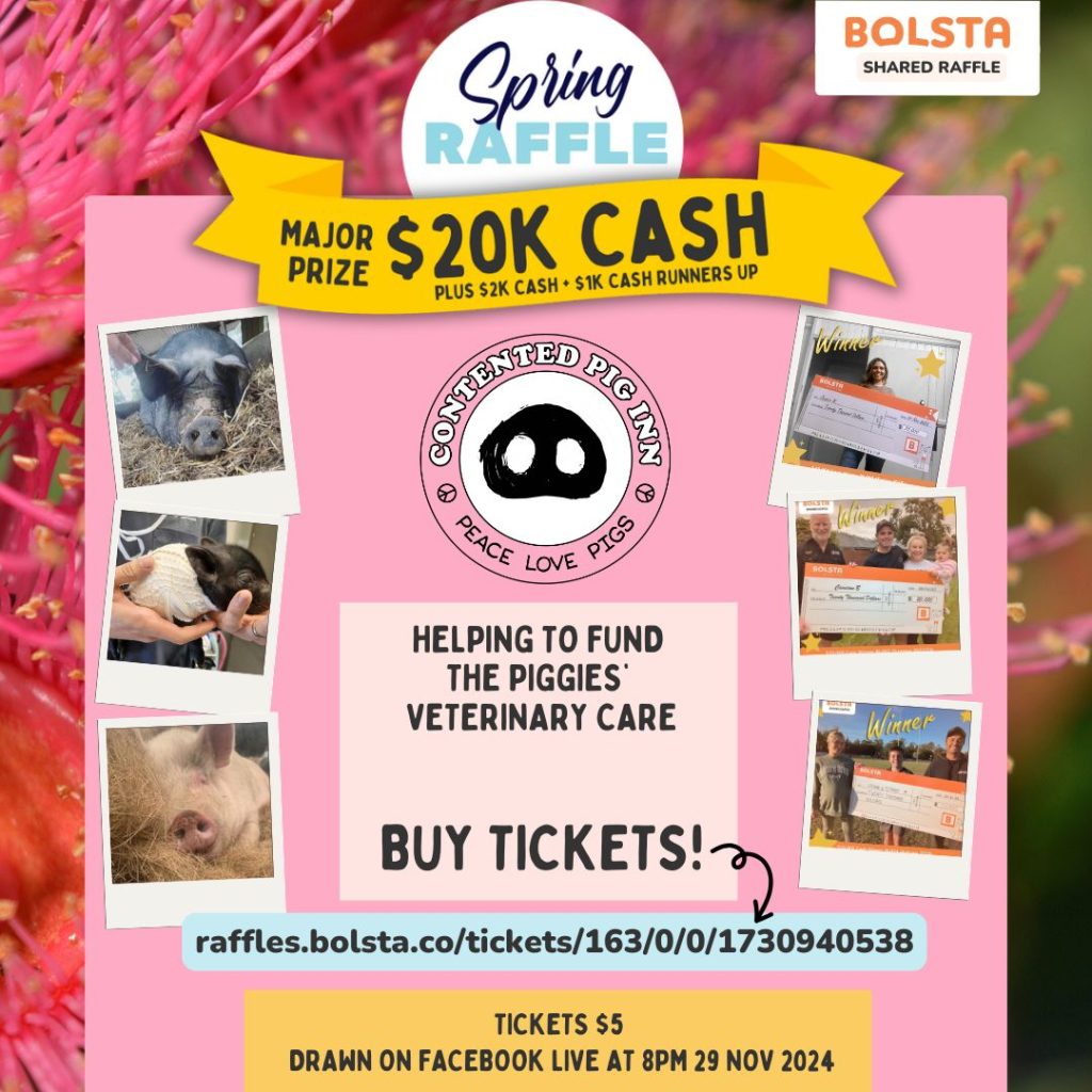 Spring raffle: Win 20K CASH! - Contented Pig Inn Rescue Sanctuary