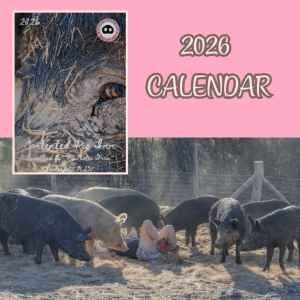 2026  Sanctuary Calendar - Pre-order