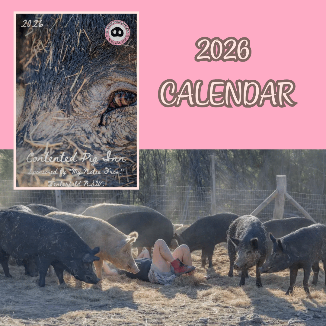 2026 Sanctuary Calendar - Pre-order